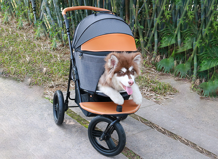 Separate pet cart