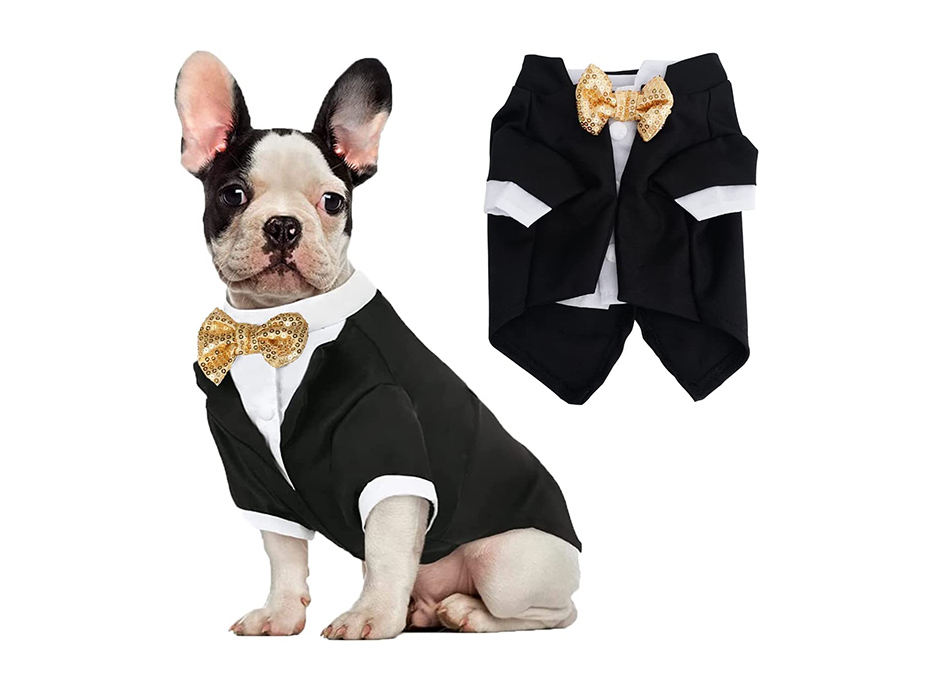 Pet clothes Amazon