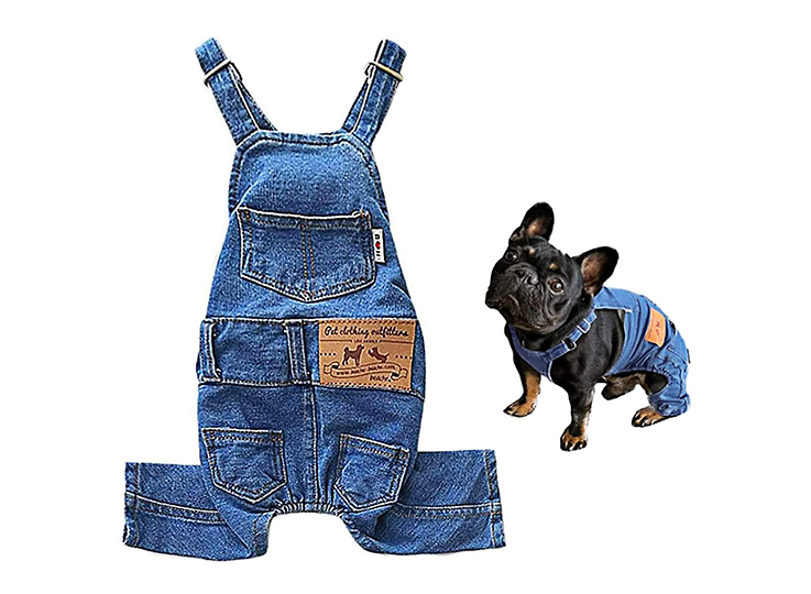 Pet clothes Amazon