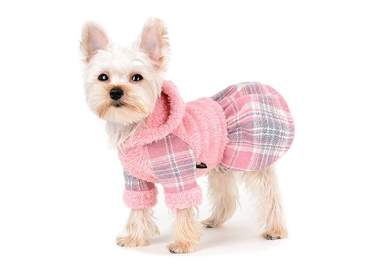 Pet clothes Amazon