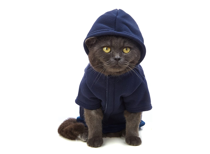 Pet clothes Amazon