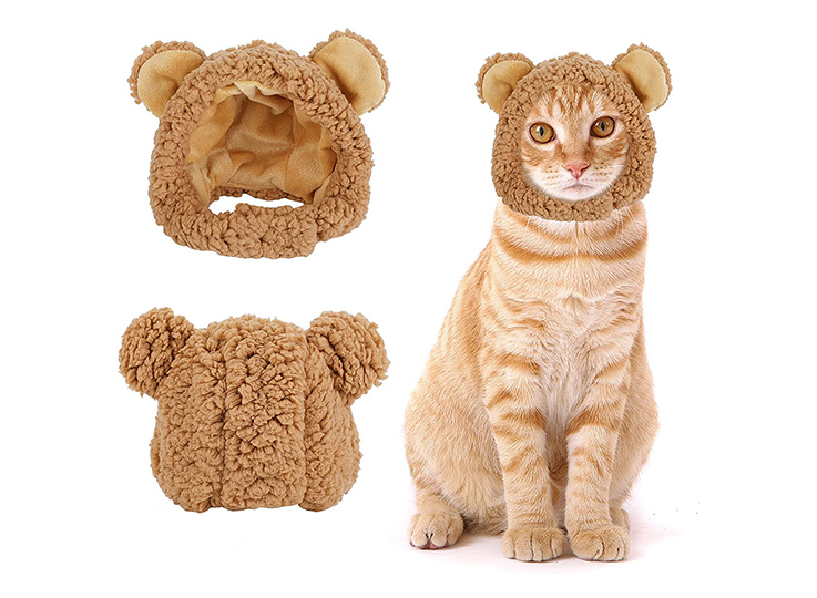 Pet clothes Amazon