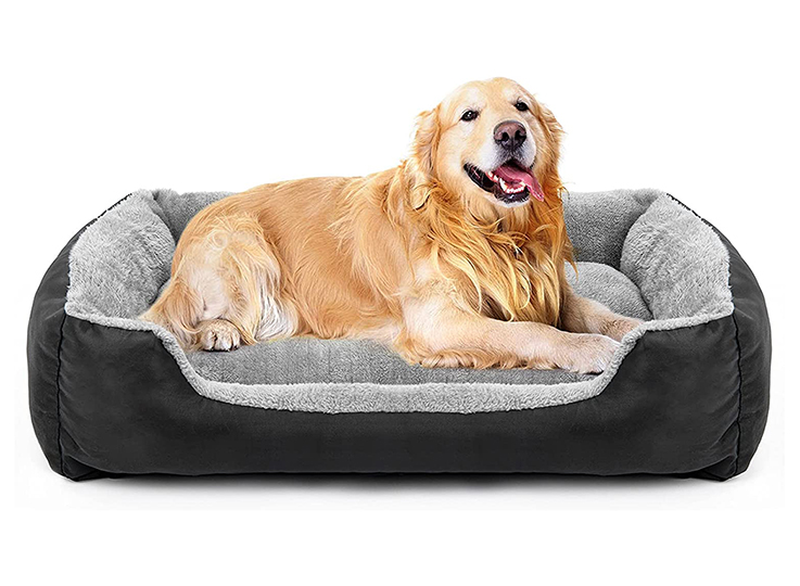 Dog bed Amazon