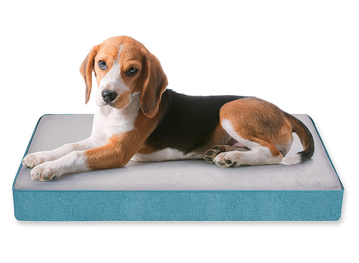 Dog bed Amazon