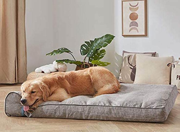 Dog bed Amazon