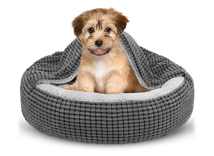 Dog bed Amazon