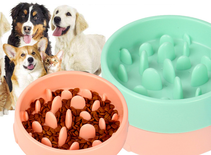 Pet choke-proof slow food bowl