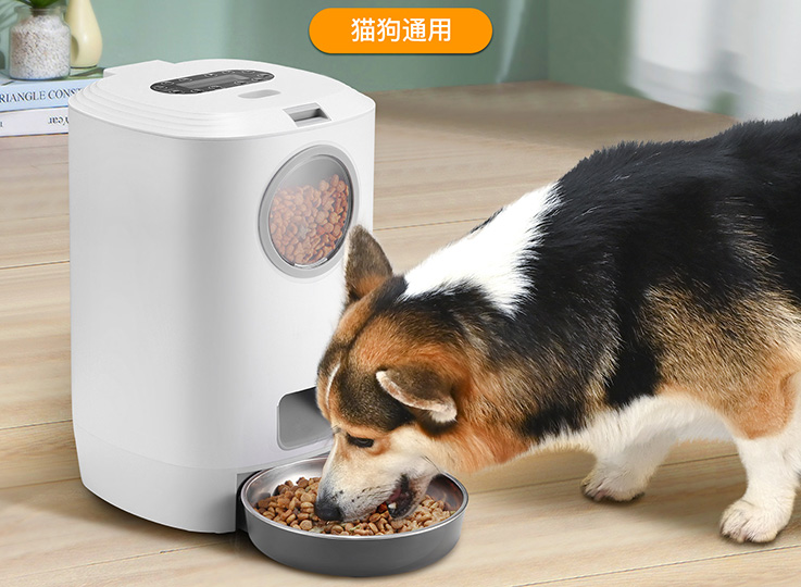 automatic pet feeder